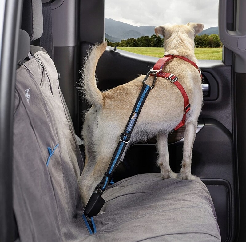 Kurgo Correa Directa con cinturon universal para mascotas, Longitud ajustable, Disponible en Azul y Naranja