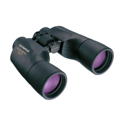 Observación ( 10 productos )