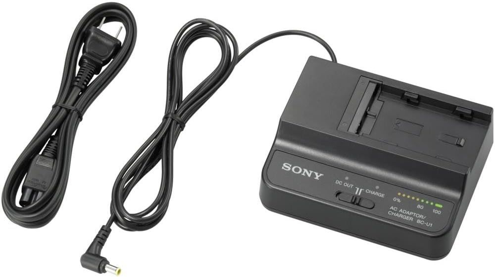 Sony BC-U1A – Cargador de batería y adaptador de corriente para BP-U30/U60/U90