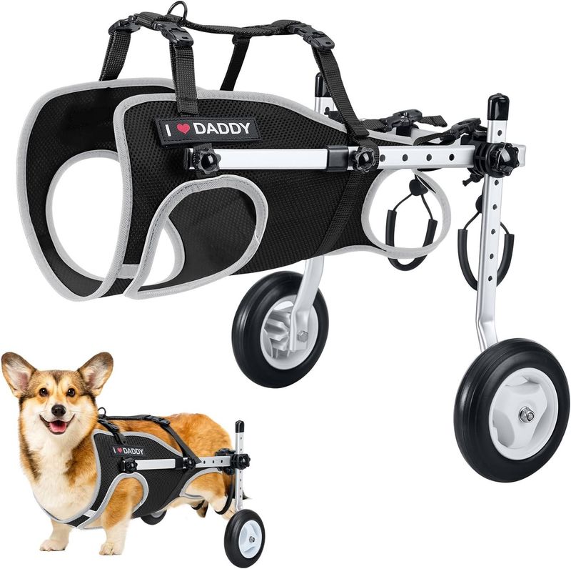 Silla de ruedas para perros para patas traseras, silla de ruedas ligera y portátil con rayas reflectantes, carrito ajustable para silla de ruedas para mascotas mayores, artritis, perros paralizados
