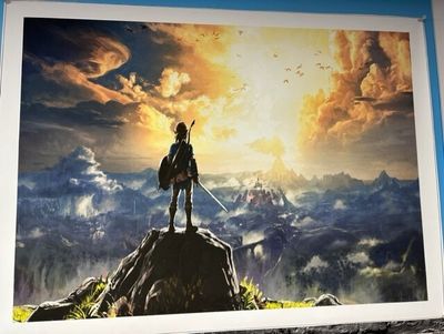 Canvas Print 26 Zelda Long