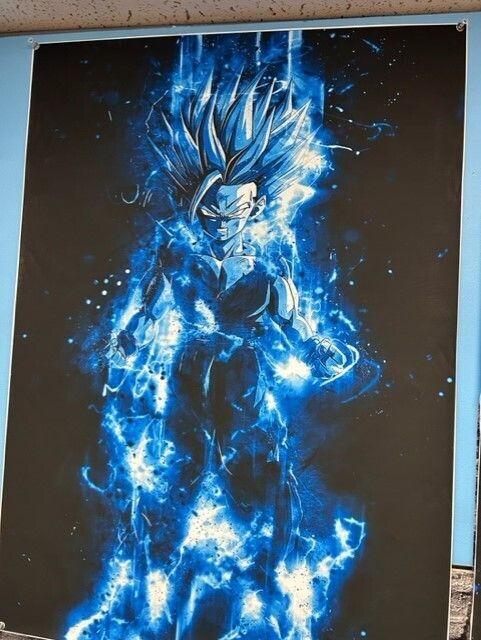 Canvas Print 33 Dragon Ball