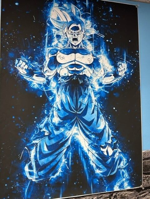 Canvas Print 34 Dragon Ball Ripped