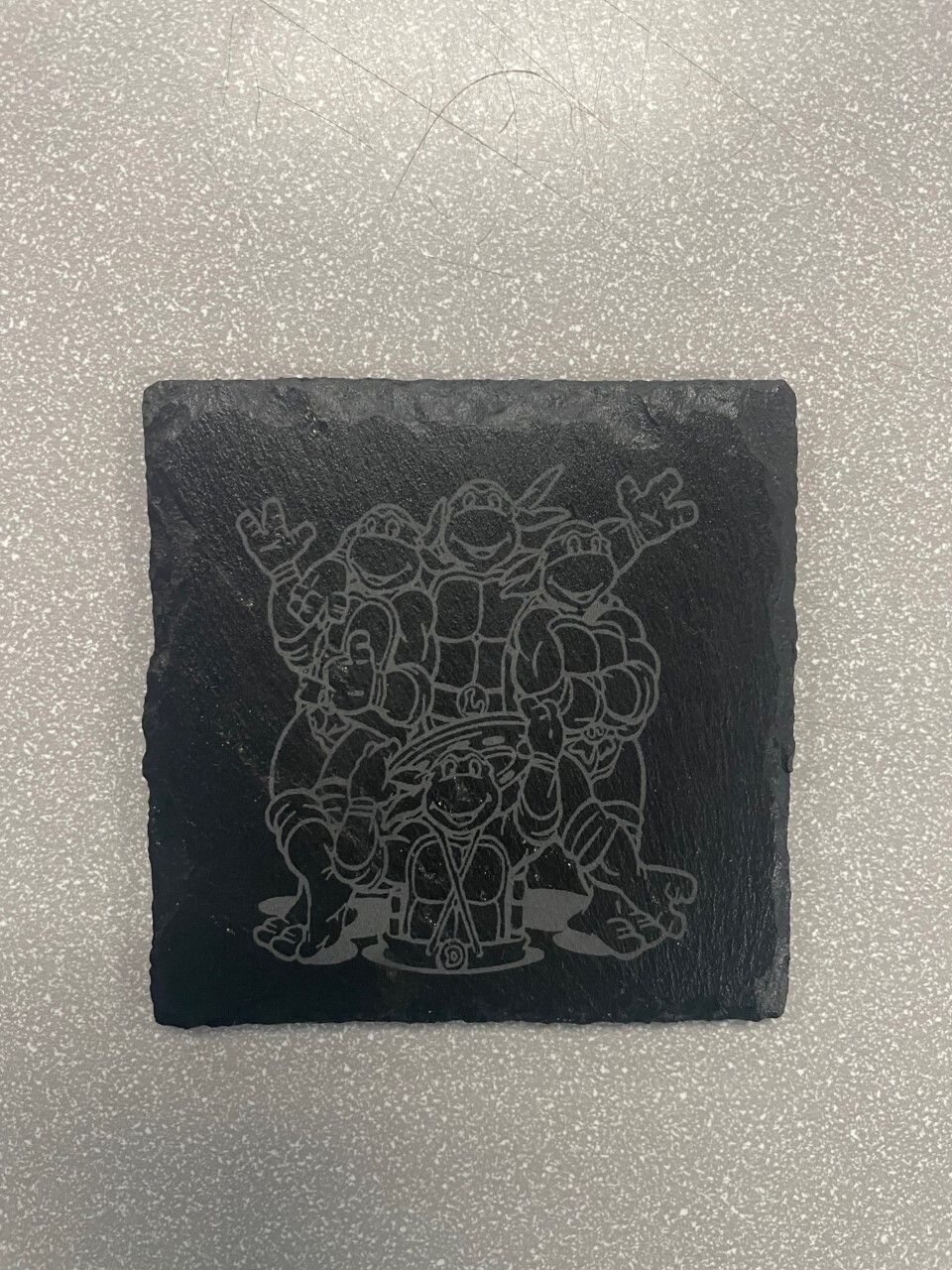 Coaster TMNT