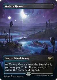 Magic the Gathering Water Grave Borderless Galaxy Foil #529