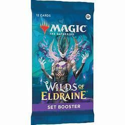 Magic the Gathering Wilds of Eldraine Set Booster Pack