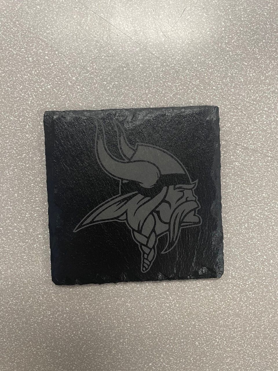 Coaster MN Vikings