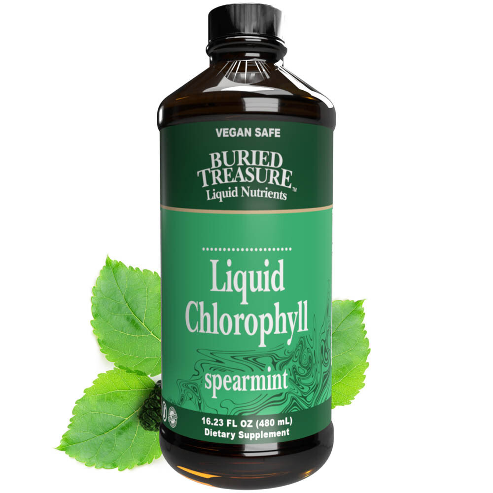 Liquid Chlorophyll 16 oz. - Buried Treasure