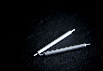 20mm Spring bar