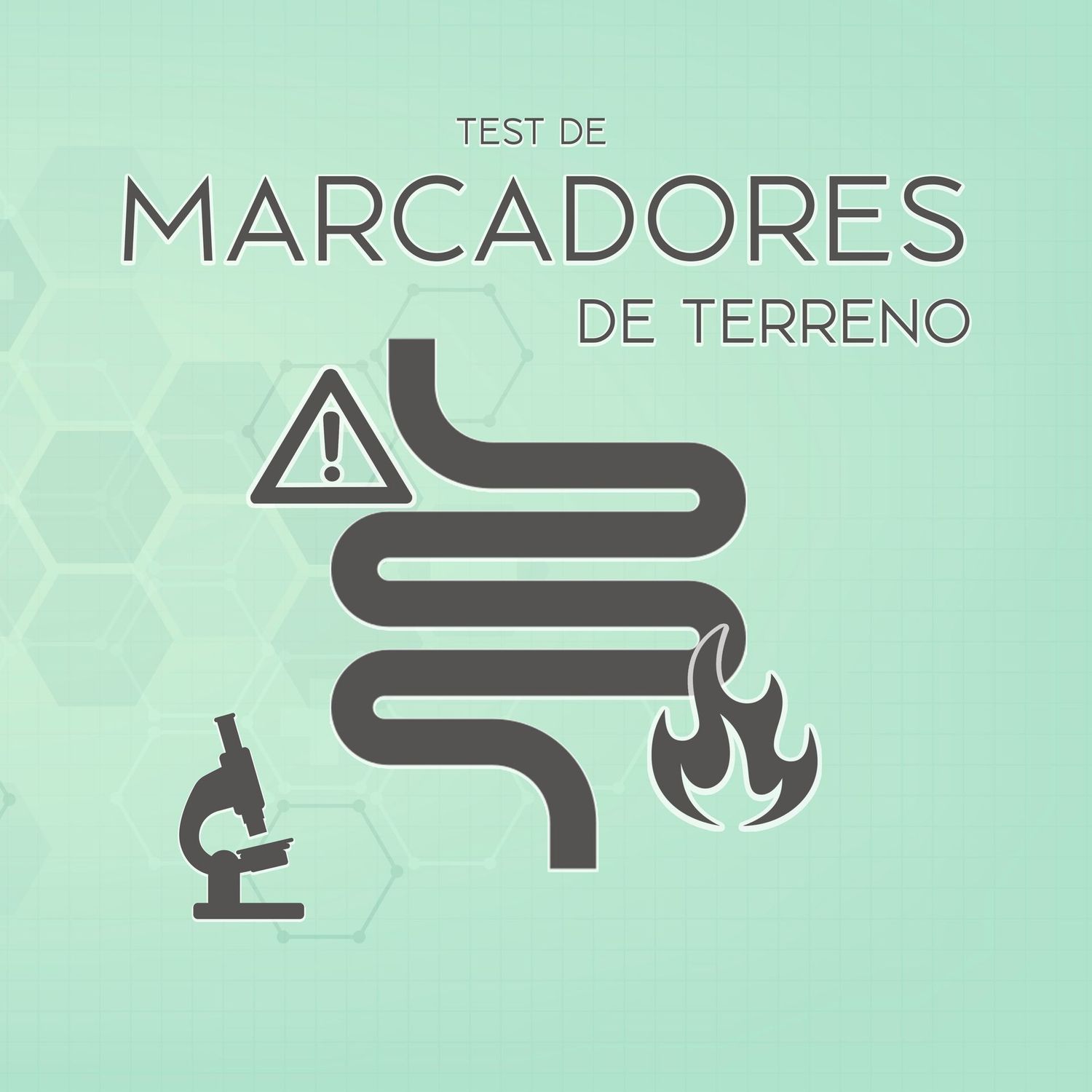 Test de Marcadores de terreno