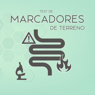 Test de Marcadores de terreno