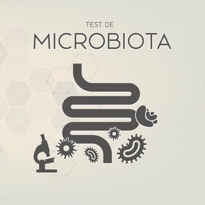 Test de Microbiota básico (parásitos, hongos, arqueas, virus, bacterias) Test de Microbiota básico (parásitos, hongos, arqueas, virus, bacterias)