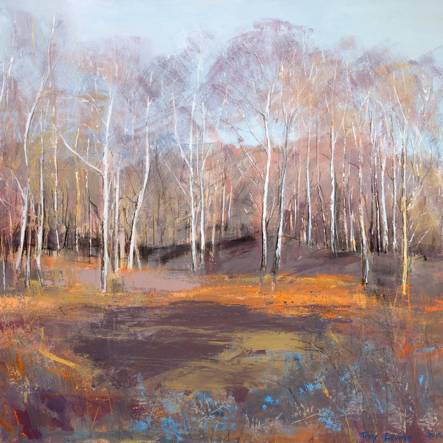 Silver Birch, on a Winters Day. Reproduction print.