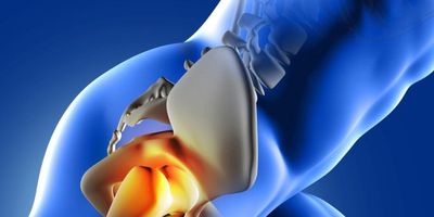 Bone Health Genomic Report Bone Health Genomic Report