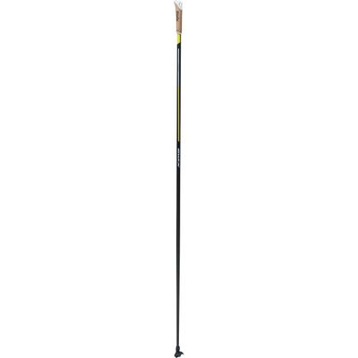 2022 Swix Quantum Two Pole