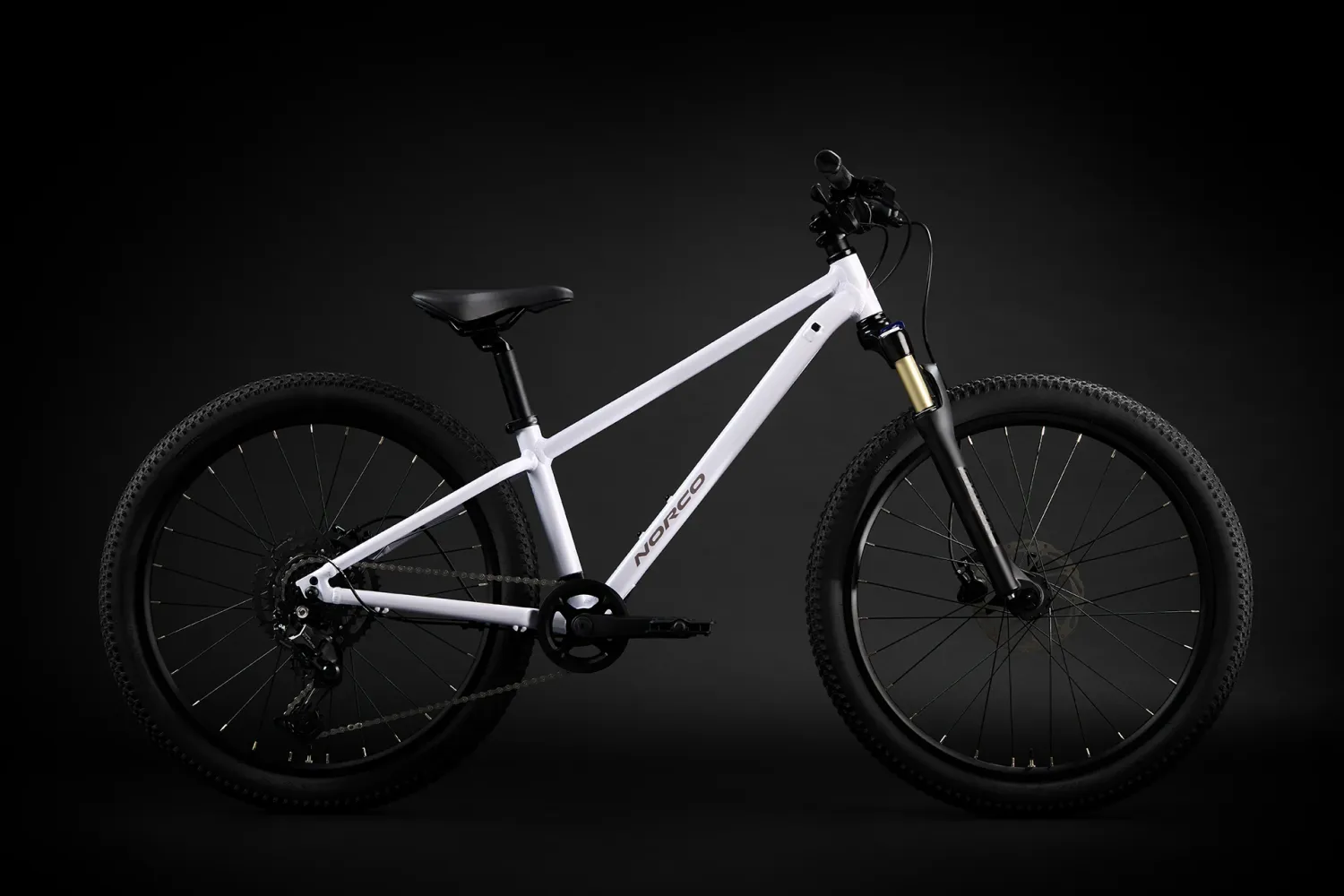 2025 Norco Charger 24