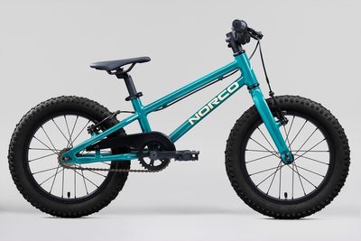 2027 Norco Storm SS