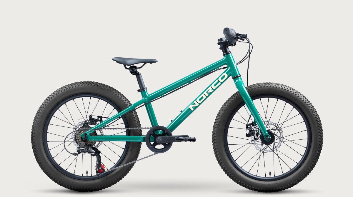 2027 Norco Storm 20'' Disc