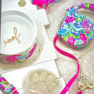 Pet Accessories