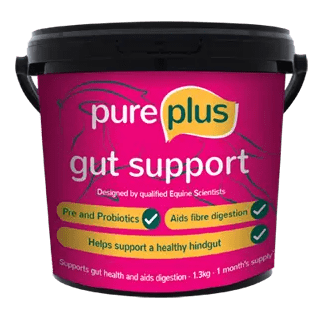 Pure Gut Support