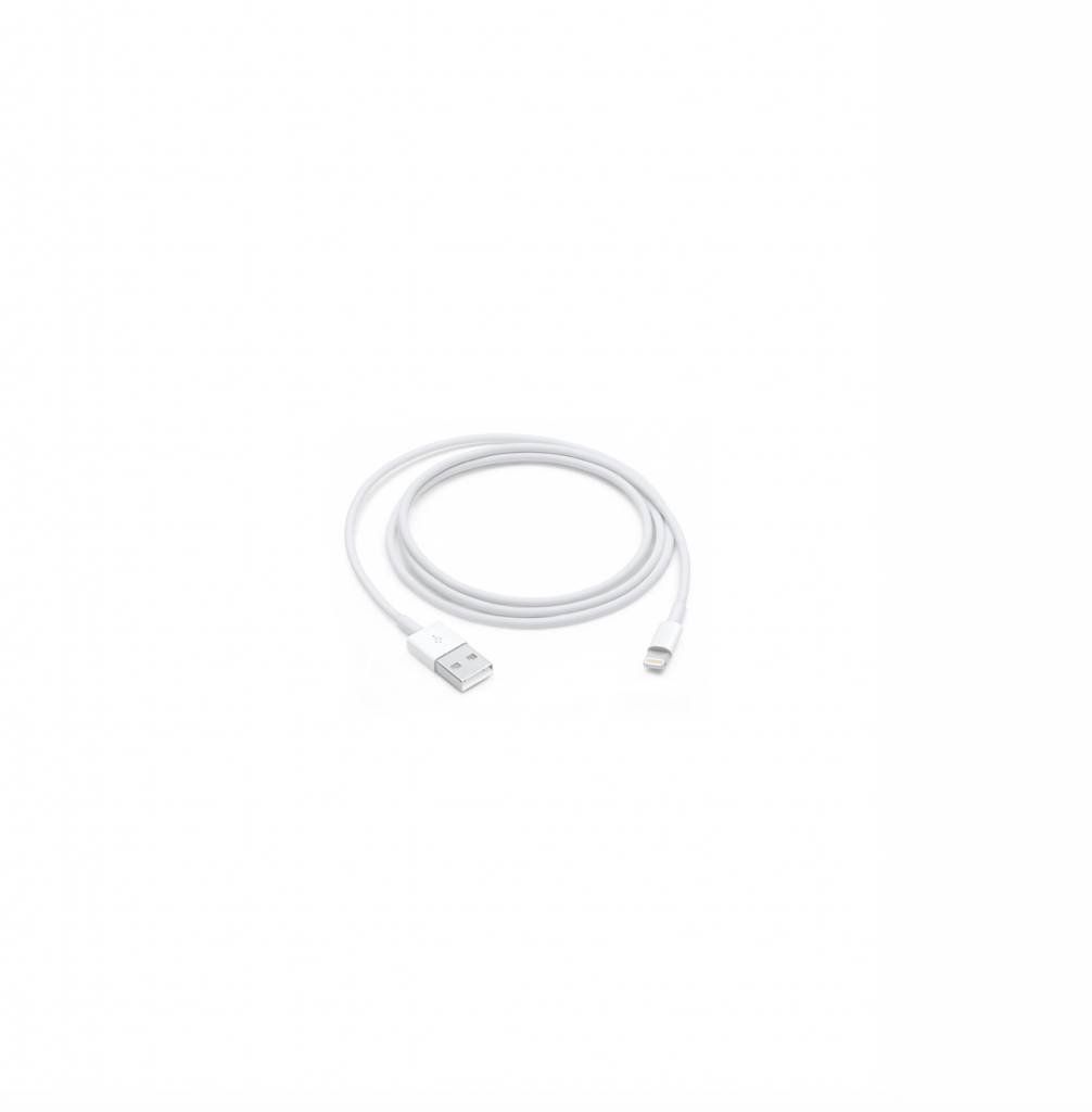 APPLE LIGHTNING TO USB CABLE (1 METER)