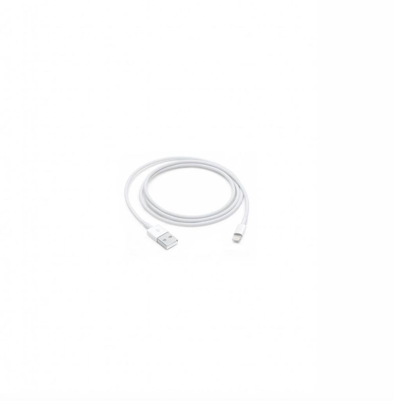APPLE LIGHTNING TO USB CABLE (1 METER)