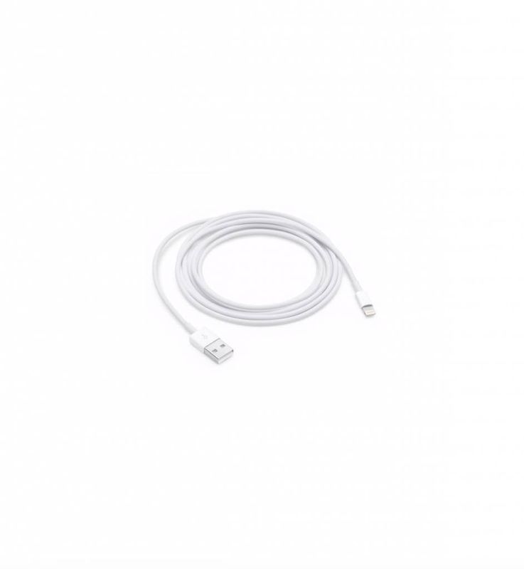 APPLE LIGHTNING TO USB CABLE (2 METER)