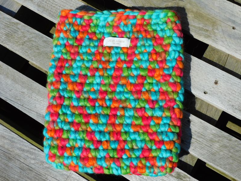 13-inch laptophoes - multi