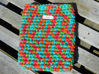 13-inch laptophoes - multi
