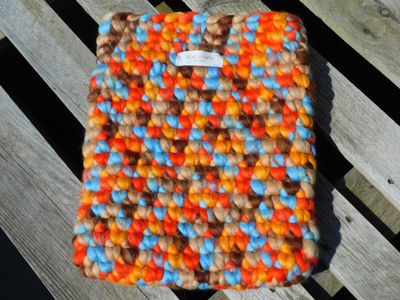 13-inch laptophoes - autumn