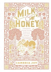 Milk &amp; Honey Devotional Journey Book