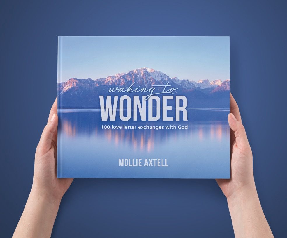 Waking to Wonder Book CP