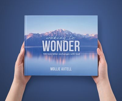 Waking to Wonder Book CP