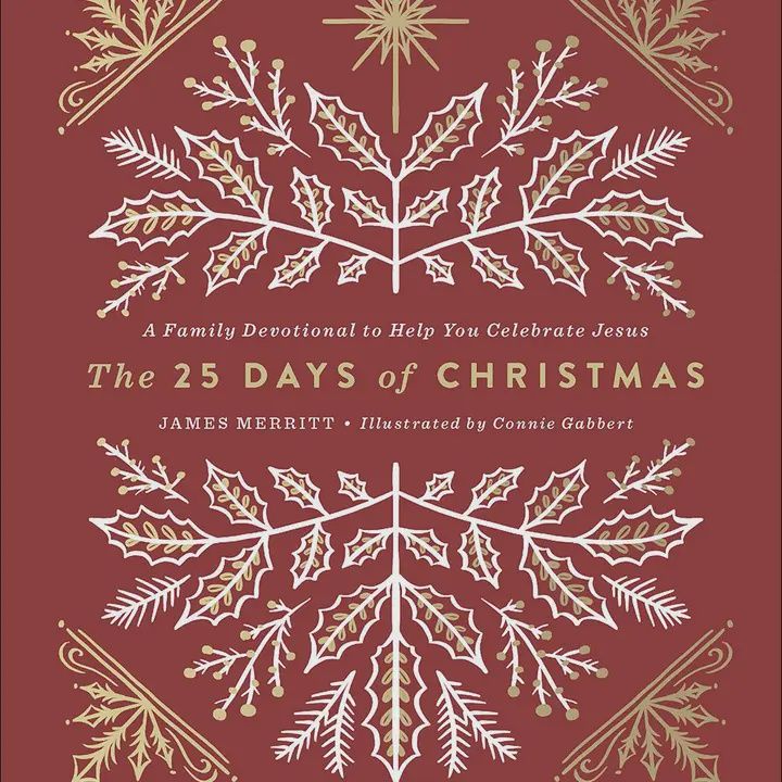 25 Days of Christmas Book