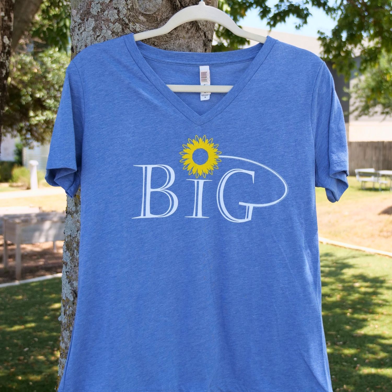 BiG V-Neck T-Shirt, Color: Heathered Blue, Size: S
