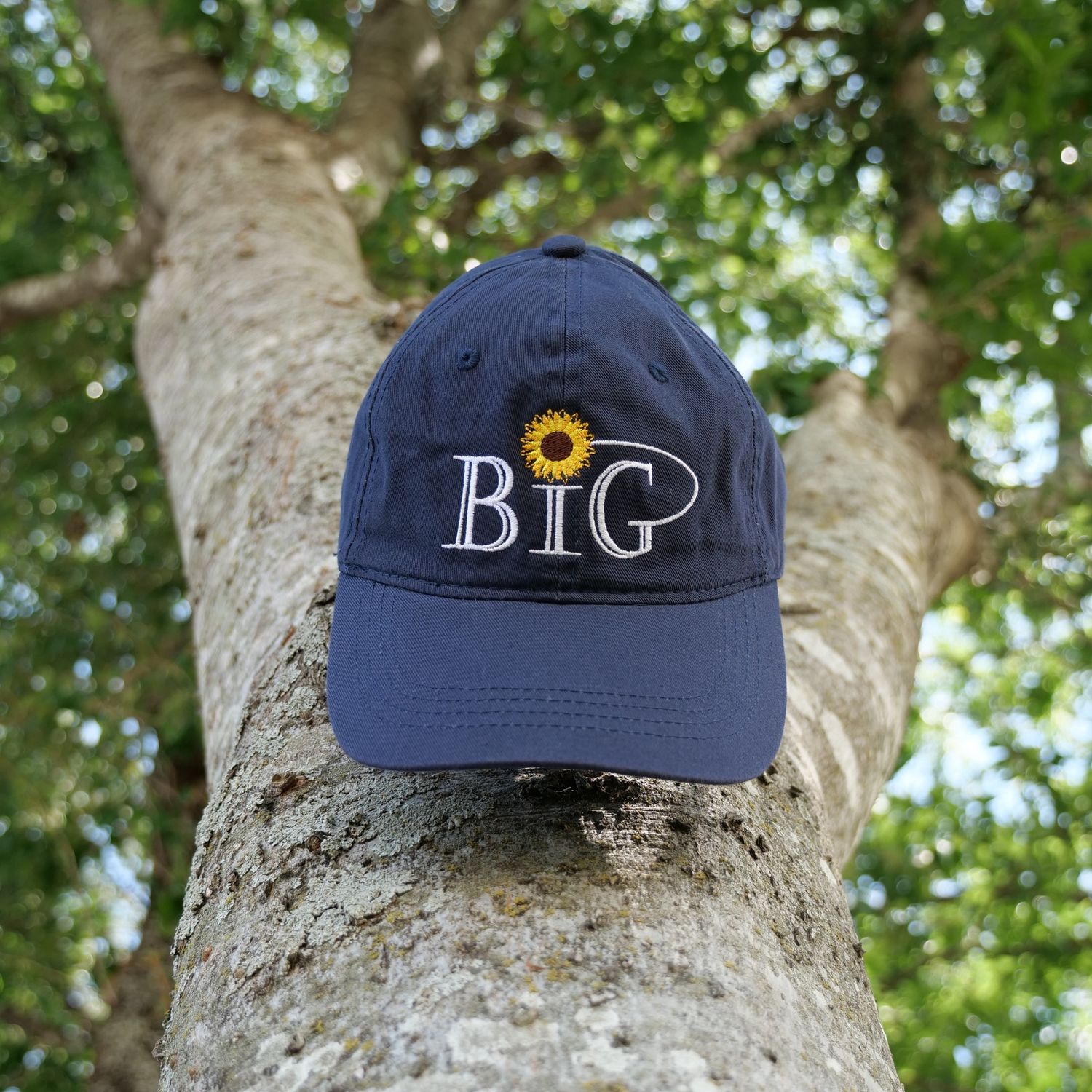 BiG Baseball Cap, Color: Navy