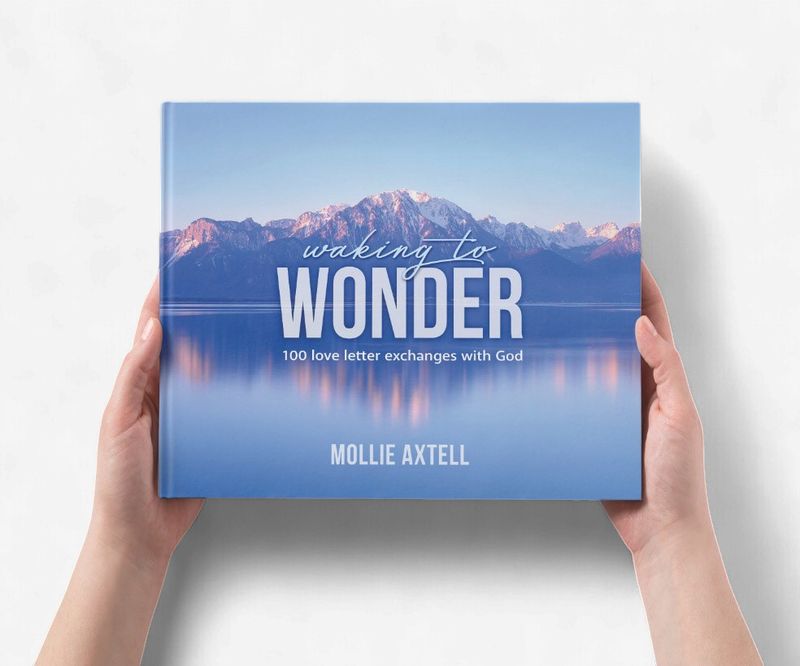 Waking to Wonder Book