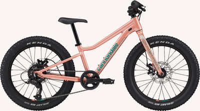Cannondale 20 U Kids Trail Plus