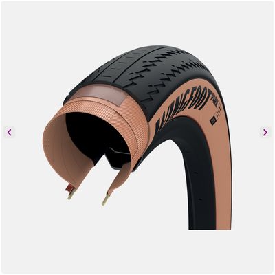 Wingfoot Park Tube Type 26x.2.2 / 55-559 Folding Transparent