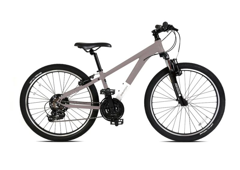 Batch MTB; 24&quot;
