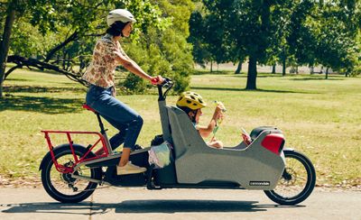 E-Bike  Cargo or Tandem Tune-Up