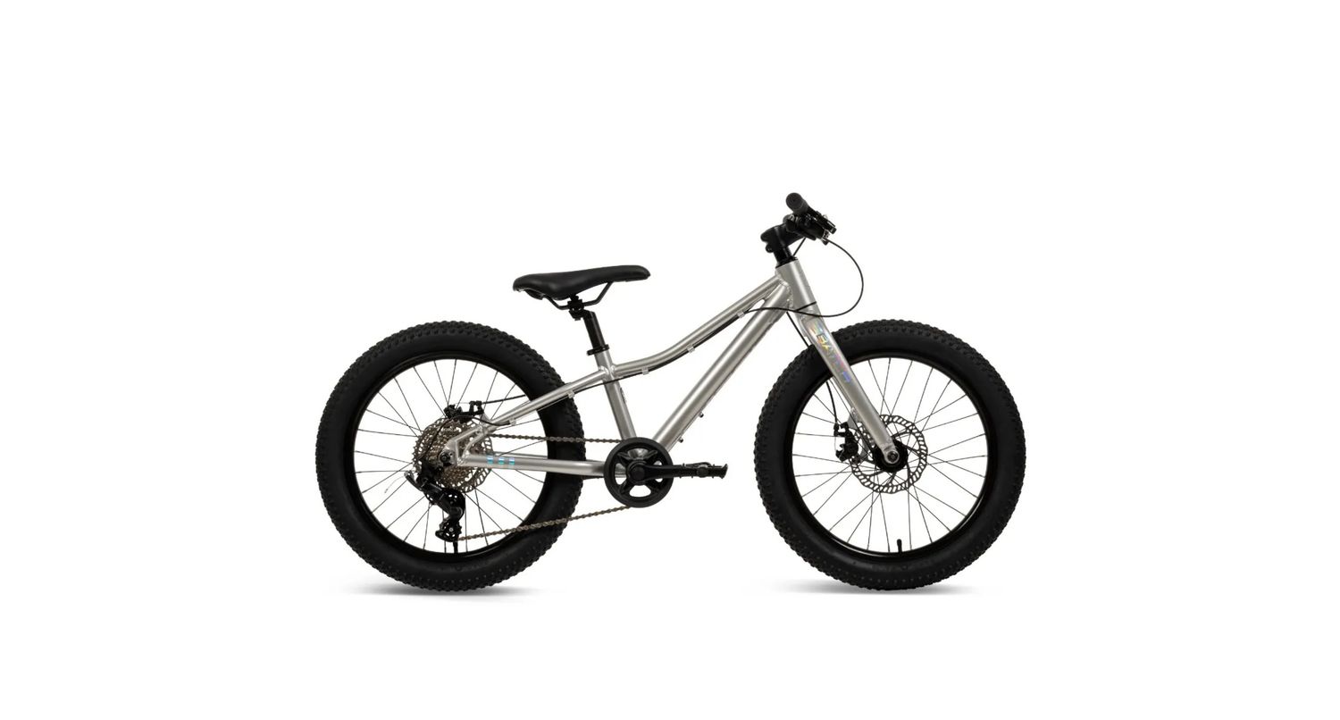 Batch 20&quot; Kids Mountain Bike 8-speed, Color: Platinum Holographic, Size: 20&quot;