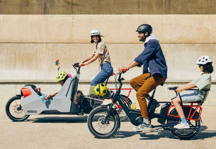 Tune-Up Tandem or  Cargo  Bike