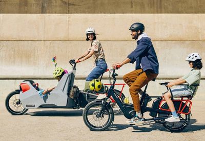 Tune-Up Tandem or  Cargo  Bike