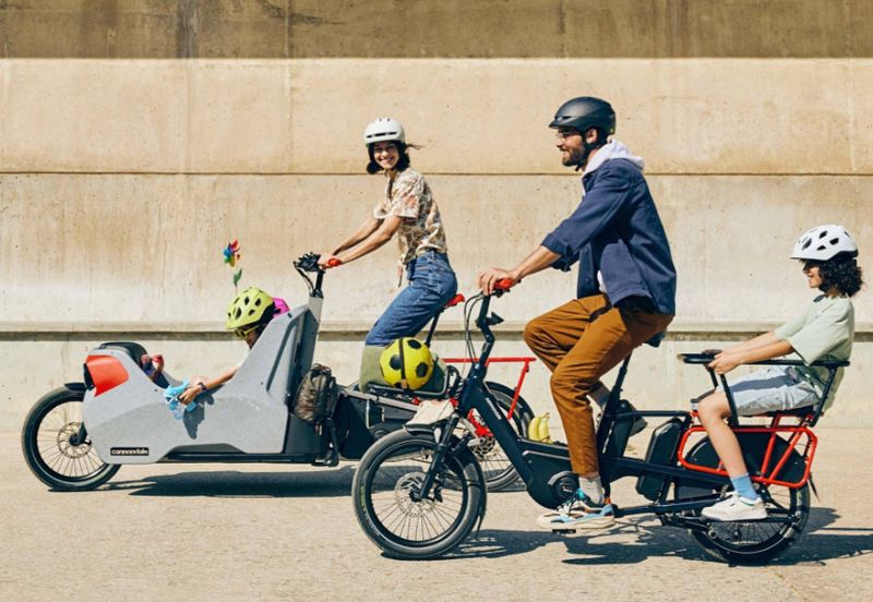 Tune-Up Tandem or  Cargo  Bike