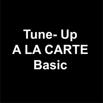 Tune- Up A LA CARTE  Basic