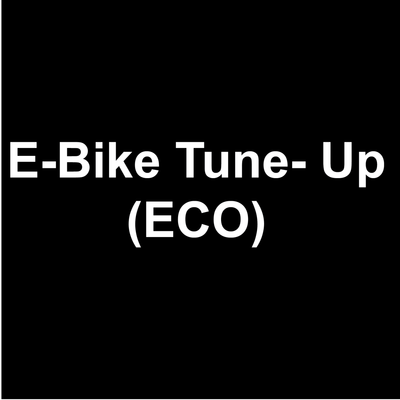 E-Bike Tune- Up (ECO)