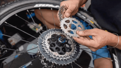 Book a service or repair!