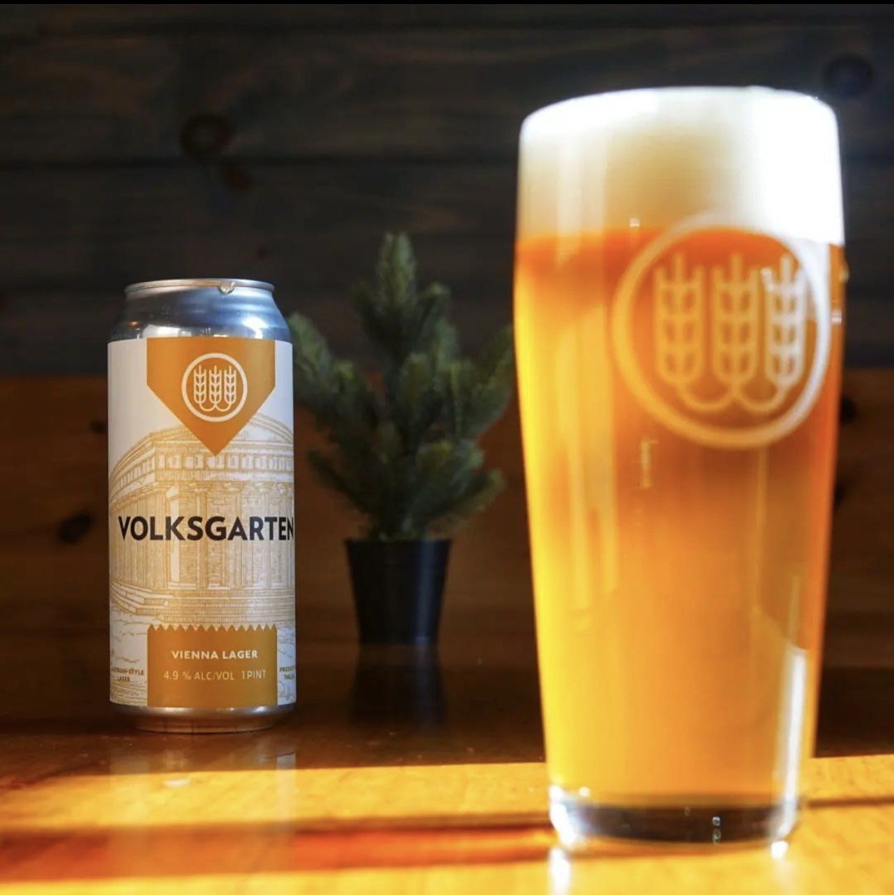Schilling Beer Co. Volksgarten Vienna Lager 16oz 4pk Cans
