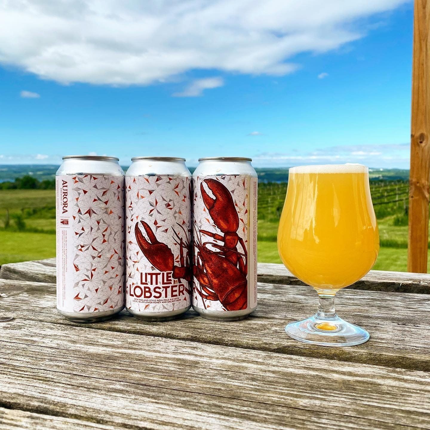 Aurora Brewing Co. Little Lobster NEIPA 4 pack 16oz